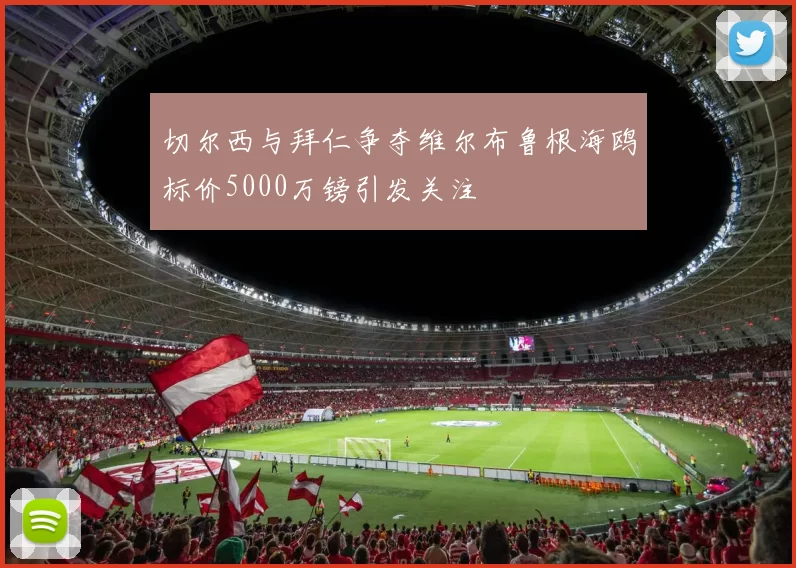 切尔西与拜仁争夺维尔布鲁根海鸥标价5000万镑引发关注