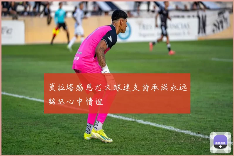 莫拉塔感恩尤文球迷支持承诺永远铭记心中情谊