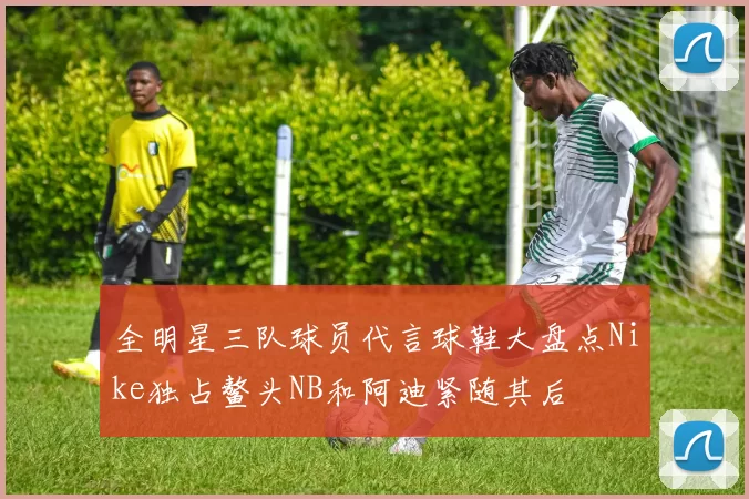 全明星三队球员代言球鞋大盘点Nike独占鳌头NB和阿迪紧随其后
