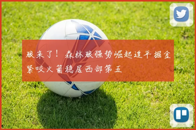 狼来了！森林狼强势崛起追平掘金紧咬火箭稳居西部第五